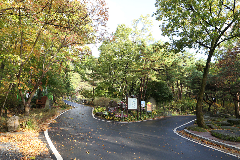 Biseulsan Mountain Country Park6